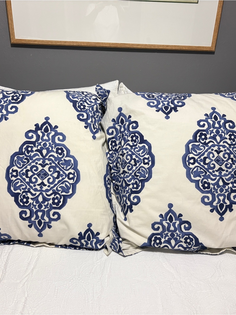 Pottery Barn Organic Cotton Euro Shams (Set of 2)